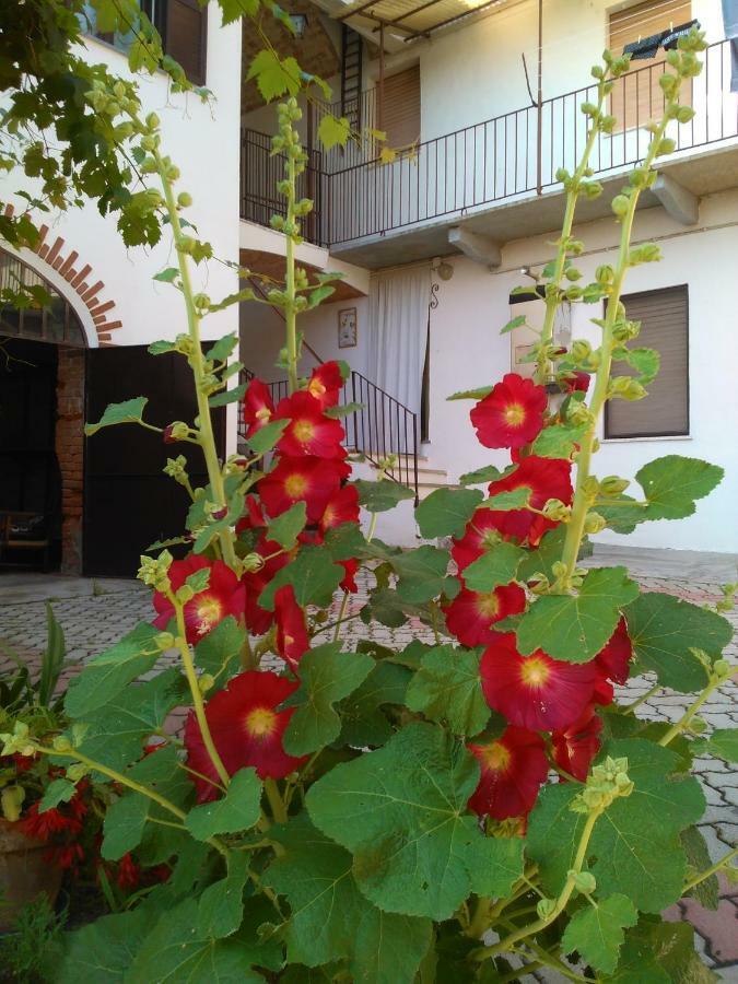 Casa Aromi Ed Arte Pension Asti Buitenkant foto